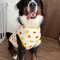 魅力たっぷりの紅丸くんでした