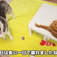 そばにいて看病する気満々！