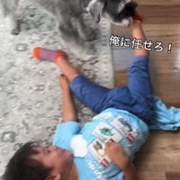 現在の2人のブームは…