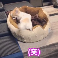 「でもやっぱり行きたくない！」