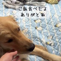 「今度はママが見ているね」