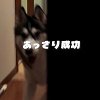 すぐに見つけられた！