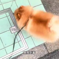 見覚えのあるタイル…