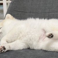 天使