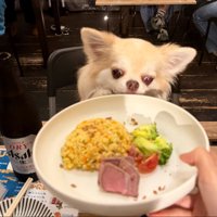 お出かけ
