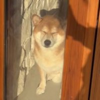 眩しそうなお顔も可愛い♡