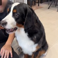 ジャーキーをあげたら…