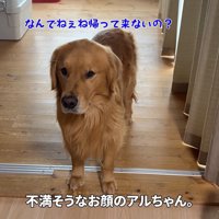不満そうなアルト君