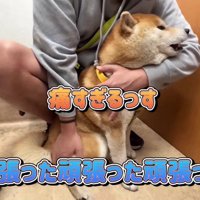 「痛かった…！」