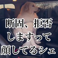 「絶対にイヤ！」
