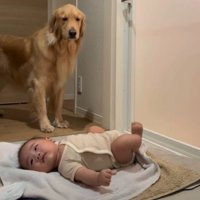 しっかり見とかなきゃダメか…
