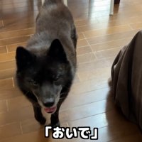 パパさんのもとへ…
