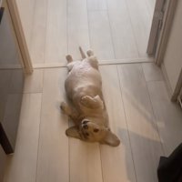 「寝たふり」を貫くありちゃん