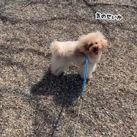 「いや、気のせいか～」