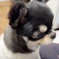 「何くれるの？」