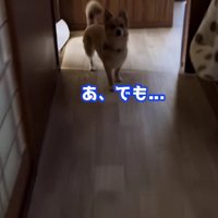 トイレに向かおうとすると…