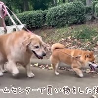 公園で遊んで帰ることに