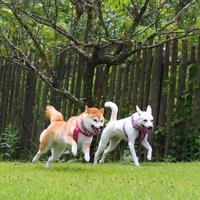 仲良しな2匹