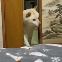 ガラリと襖を開けて…