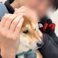横を見て固まる犬