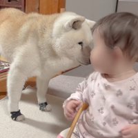 「なにも問題ない？」