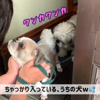 おしりの匂いをクンクン♪