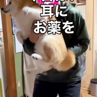 ここちゃんを抱っこするお父さん
