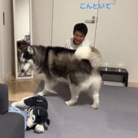 2度目の拒否の彼氏さん