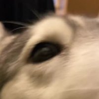 競り合うようにポストへ