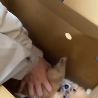 将来は大物になりそう！