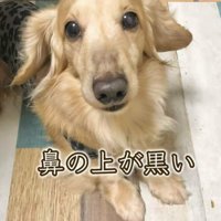さらお君を病院に連れて行ったら2