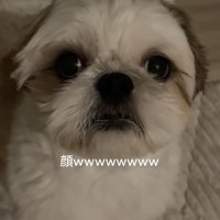 真剣な表情のちろ君