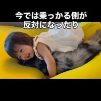 犬に乗っかり抱きつく子ども