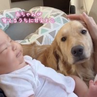 赤ちゃんの隣で甘える犬
