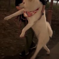 情けない姿が可愛い