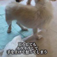 過酷な環境で生きてきた