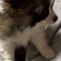 「絶対にここ！！」