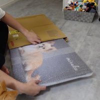 フォトパネルを飾った時のみるくちゃん2