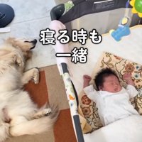一緒に眠るふたり