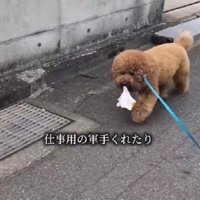 軍手をおもちゃとしてプレゼント