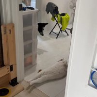 お昼寝の見守り♡