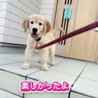 笑顔いっぱいのルカちゃんでした