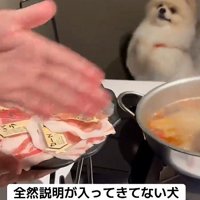可愛すぎて説明が入ってこない…