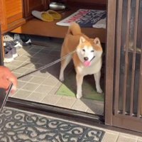 大満足のふじくんでした