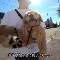 最後は赤ちゃんらしく抱っこ♡