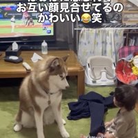 隠せない仲の良さ