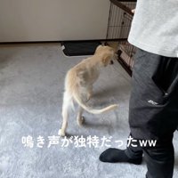 まだ体も小さいです