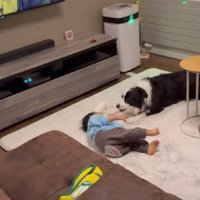 遊びに誘うのはこり男くん