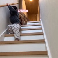 ころもちゃんを励ます弟くん