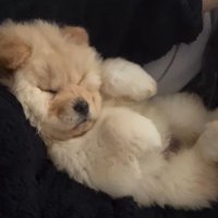 小梅ちゃんの成長3